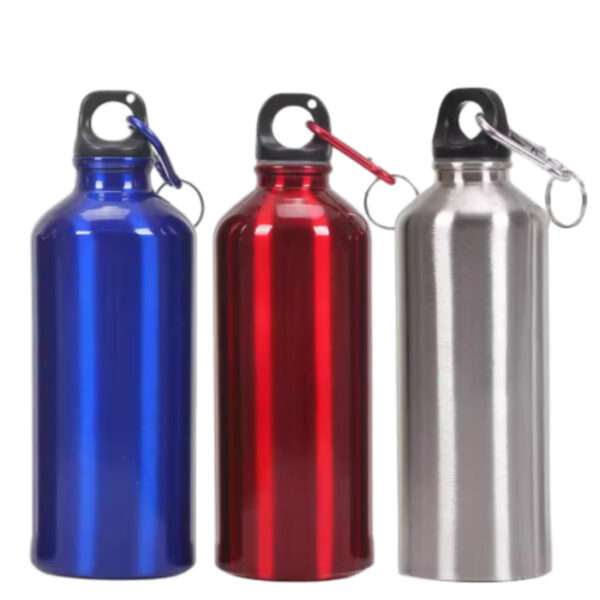 Aluminum water bottles with resin-coated interior, carabiner, and custom logo imprint, available individually in four sizes